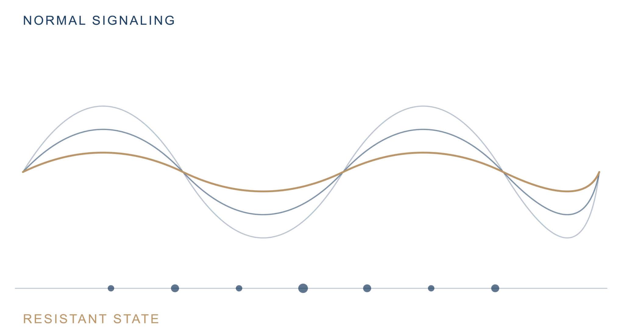 insulin-wave and PCOS GLP-1